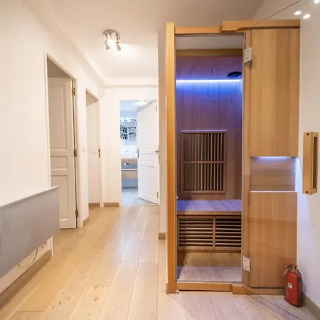 Hyper Centre Proche Gare Sauna Balcon * Annecy